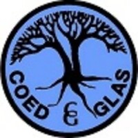 Coed glas primary school