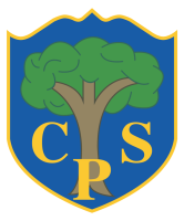 The coppice primary school