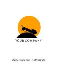 Curious ant