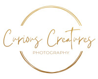 Curious creatures photography