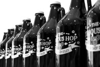 The curious hop ltd