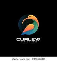 Curlew technology ltd