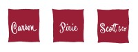 Carson pirie scott
