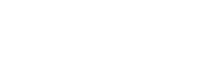 Developi information systems