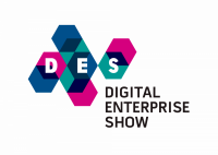 Digital enterprise festival ltd
