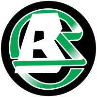 Brawl sports limited