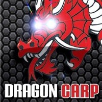 Dragon carp direct