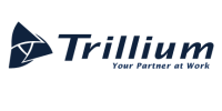 Trillium construction services