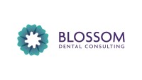 Drive dental consulting
