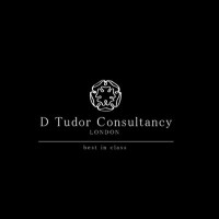 D tudor consultancy international