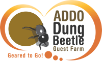 Dung beetle tours & travel