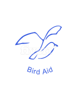 Eastbourne bird aid ltd