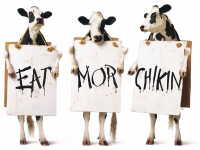 Eat mor chiken™ india