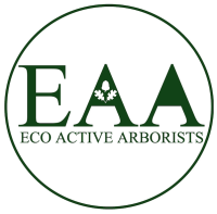 Ecoarborist limited