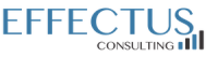 Effectus consulting