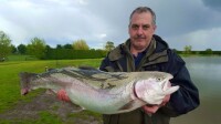 Ellerdine lakes