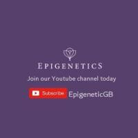 Epigenetics ltd.