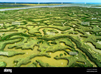 Marshland (essex)