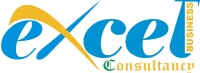 Excel business consultancy