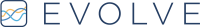 Evolve leadership consulting