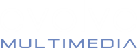 Evolve web consultants