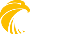 Falcon power generation