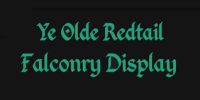 Ye olde redtail falconry display