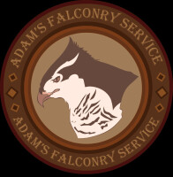 Falconry services