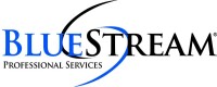 Bluestream professional services