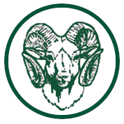 Madison local schools