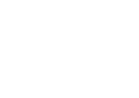 Franchise group international