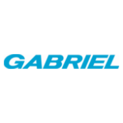 Gabriel star limited