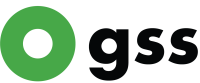 Global systems international