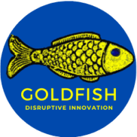 Goldfish consultancy limited