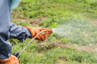 Green ways countryside management