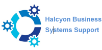 Halcyon business systems support