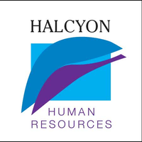 Halcyon hr consulting ltd
