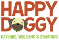 Happy doggy daycare