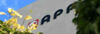 Hainan jinhai pulp & paper co., ltd. (app group)