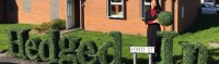 Hedged in ltd quality artificial hedge suplier