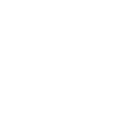 High spirits tours