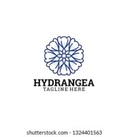 Hortensia decor