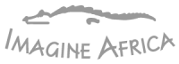 Imagine africa