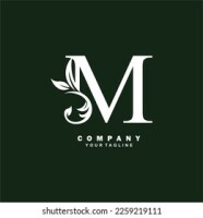 M decor inc