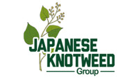 Japanese knotweed group ltd