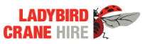 Ladybird cranes limited