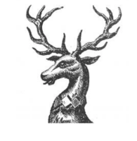 Lakeland fireplaces and lighting