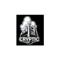 Cryptic studios