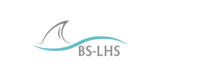 Lhs logistics ltd