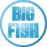 Big fish entertainment